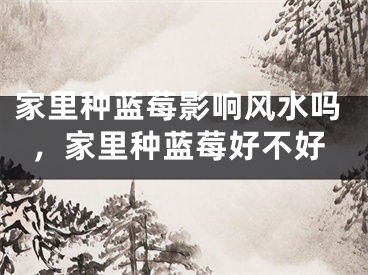家里种蓝莓影响风水吗，家里种蓝莓好不好