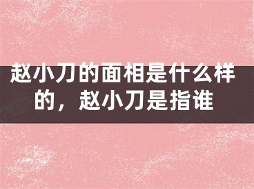 赵小刀的面相是什么样的，赵小刀是指谁