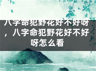 八字命犯野花好不好呀，八字命犯野花好不好呀怎么看