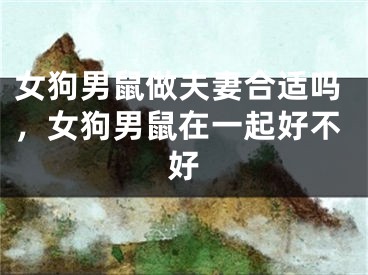 女狗男鼠做夫妻合适吗，女狗男鼠在一起好不好