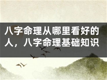 八字命理从哪里看好的人，八字命理基础知识