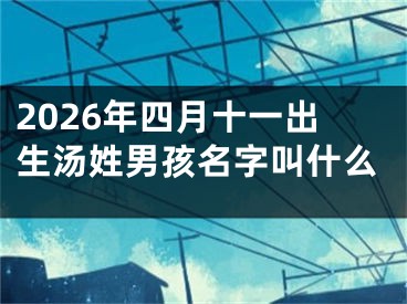 2026年四月十一出生汤姓男孩名字叫什么