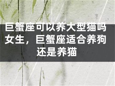 巨蟹座可以养大型猫吗女生，巨蟹座适合养狗还是养猫