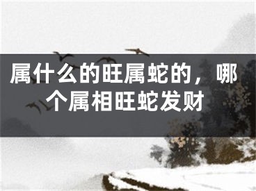 属什么的旺属蛇的,哪个属相旺蛇发财