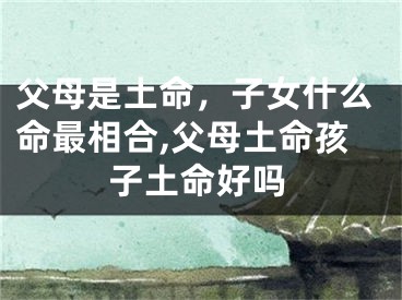 父母是土命，子女什么命最相合,父母土命孩子土命好吗