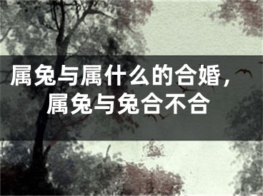 属兔与属什么的合婚，属兔与兔合不合