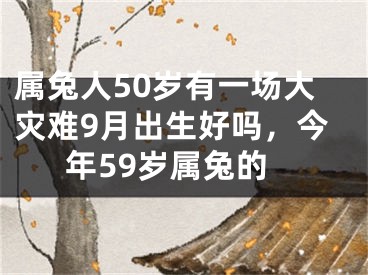 属兔人50岁有一场大灾难9月出生好吗，今年59岁属兔的