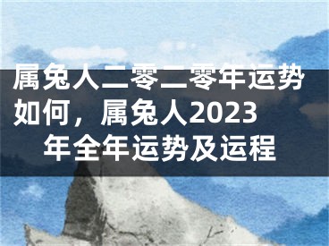 属兔人二零二零年运势如何，属兔人2023年全年运势及运程