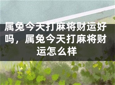 属兔今天打麻将财运好吗，属兔今天打麻将财运怎么样