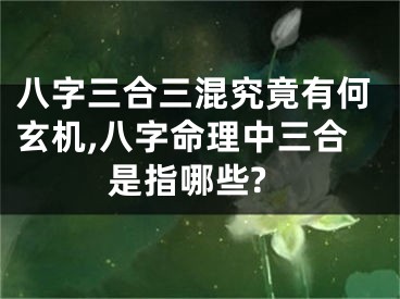 八字三合三混究竟有何玄机,八字命理中三合是指哪些?