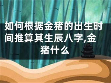 如何根据金猪的出生时间推算其生辰八字,金猪什么