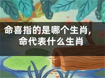 命喜指的是哪个生肖,命代表什么生肖