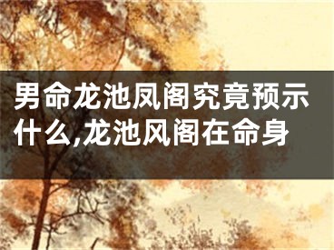 男命龙池凤阁究竟预示什么,龙池风阁在命身