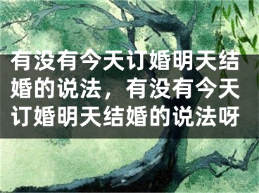 有没有今天订婚明天结婚的说法，有没有今天订婚明天结婚的说法呀