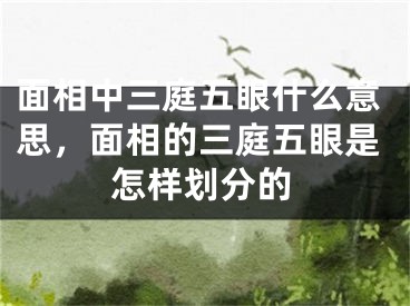 面相中三庭五眼什么意思，面相的三庭五眼是怎样划分的