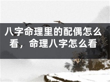 八字命理里的配偶怎么看,命理八字怎么看