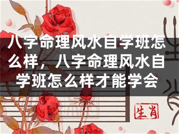 八字命理风水自学班怎么样，八字命理风水自学班怎么样才能学会