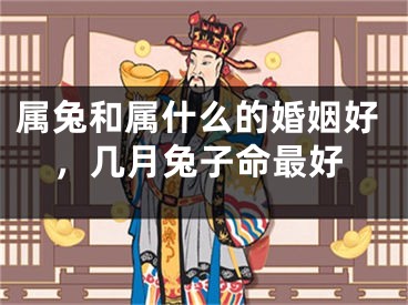 属兔和属什么的婚姻好，几月兔子命最好