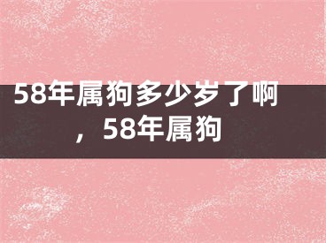 58年属狗多少岁了啊，58年属狗
