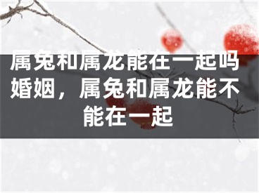 属兔和属龙能在一起吗婚姻，属兔和属龙能不能在一起