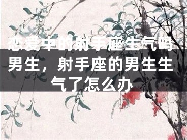 恋爱中的射手座生气吗男生，射手座的男生生气了怎么办