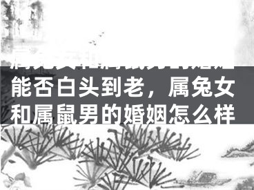 属兔女和属鼠男的婚姻能否白头到老，属兔女和属鼠男的婚姻怎么样