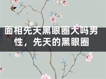 面相先天黑眼圈大吗男性，先天的黑眼圈