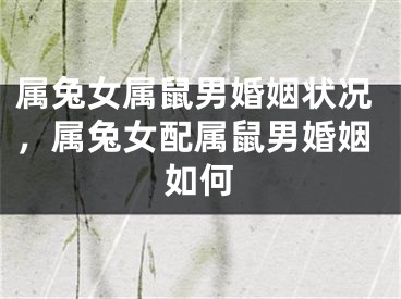 属兔女属鼠男婚姻状况，属兔女配属鼠男婚姻如何