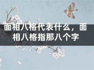 面相八格代表什么，面相八格指那八个字