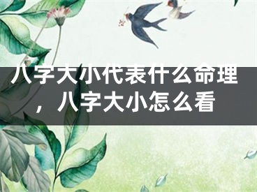 八字大小代表什么命理,八字大小怎么看