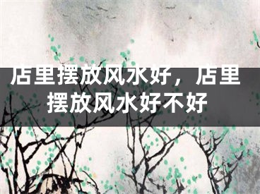 店里摆放风水好，店里摆放风水好不好