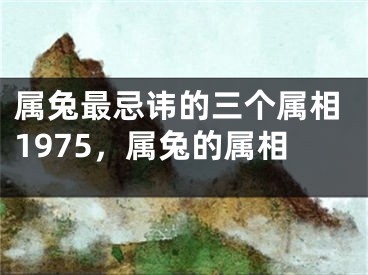 属兔最忌讳的三个属相1975，属兔的属相