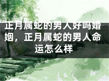 正月属蛇的男人好吗婚姻，正月属蛇的男人命运怎么样