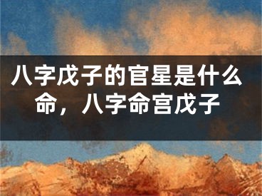 八字戊子的官星是什么命,八字命宫戊子