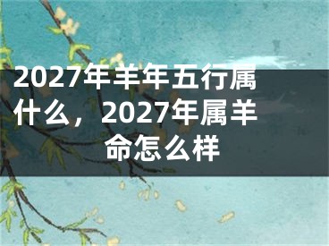 2027年羊年五行属什么，2027年属羊命怎么样