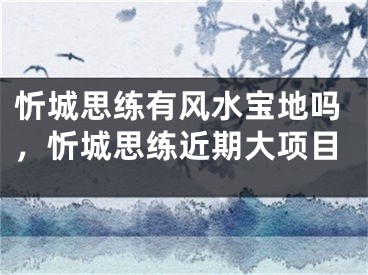 忻城思练有风水宝地吗，忻城思练近期大项目