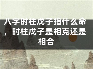 八字时柱戊子指什么命，时柱戊子是相克还是相合