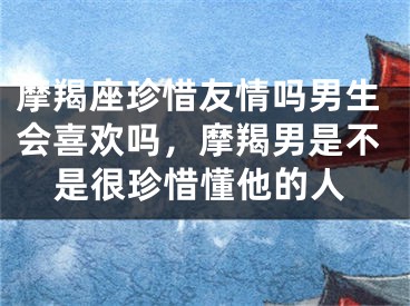 摩羯座珍惜友情吗男生会喜欢吗，摩羯男是不是很珍惜懂他的人