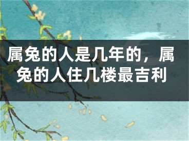 属兔的人是几年的，属兔的人住几楼最吉利