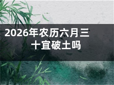 2026年农历六月三十宜破土吗