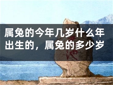 属兔的今年几岁什么年出生的，属兔的多少岁