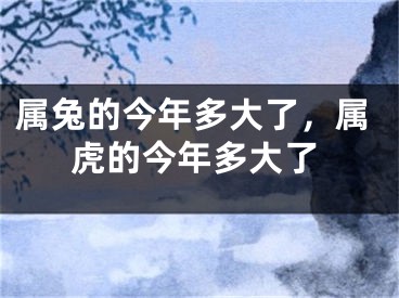 属兔的今年多大了，属虎的今年多大了