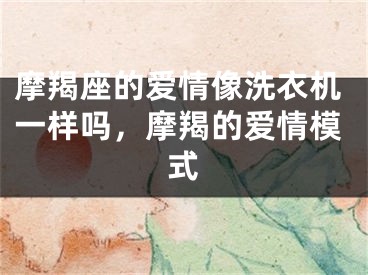 摩羯座的爱情像洗衣机一样吗，摩羯的爱情模式