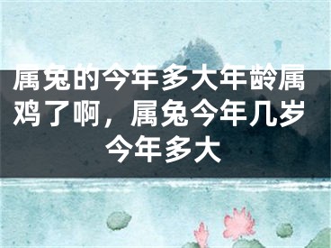 属兔的今年多大年龄属鸡了啊，属兔今年几岁今年多大