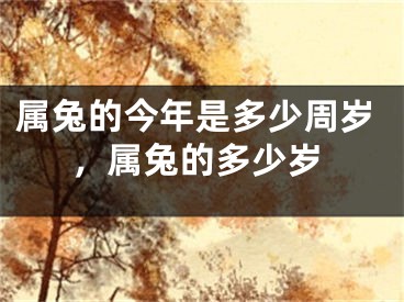 属兔的今年是多少周岁，属兔的多少岁