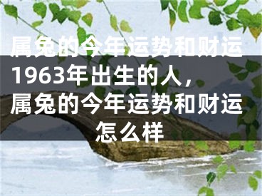 属兔的今年运势和财运1963年出生的人，属兔的今年运势和财运怎么样