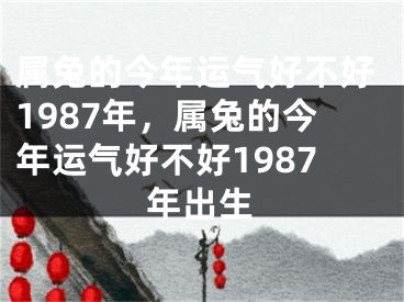 属兔的今年运气好不好1987年，属兔的今年运气好不好1987年出生