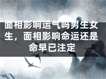 面相影响运气吗男生女生，面相影响命运还是命早已注定