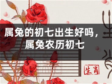 属兔的初七出生好吗，属兔农历初七
