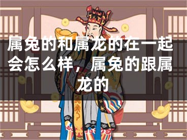 属兔的和属龙的在一起会怎么样，属兔的跟属龙的